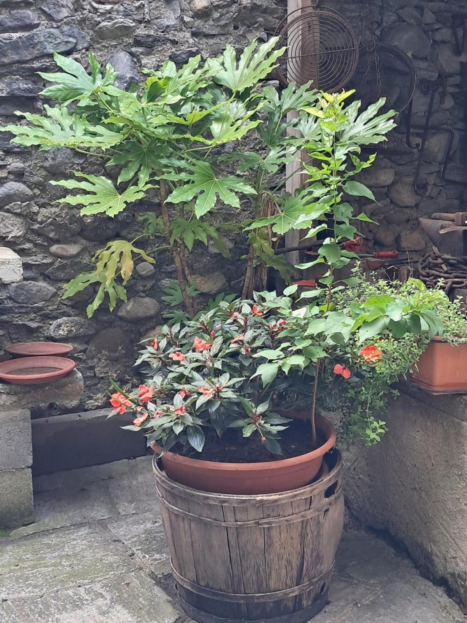 Nonna Anita Bed & Breakfast Castelveccana Ngoại thất bức ảnh
