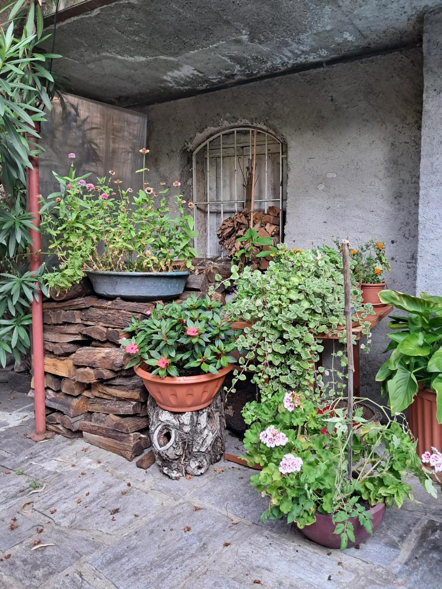 Nonna Anita Bed & Breakfast Castelveccana Ngoại thất bức ảnh